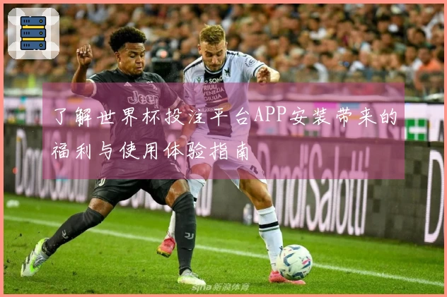 了解世界杯投注平台APP安装带来的福利与使用体验指南