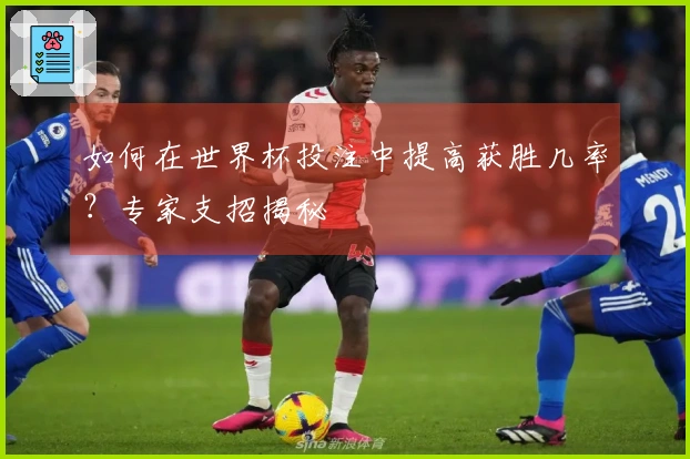 如何在世界杯投注中提高获胜几率？专家支招揭秘