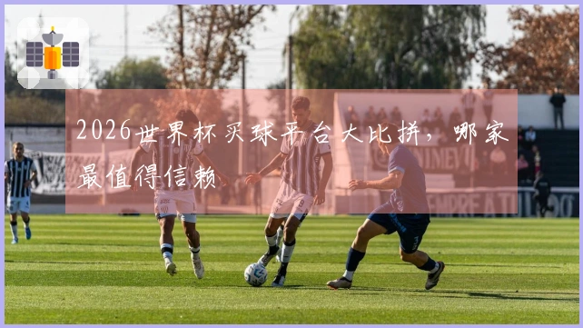 2026世界杯买球平台大比拼，哪家最值得信赖