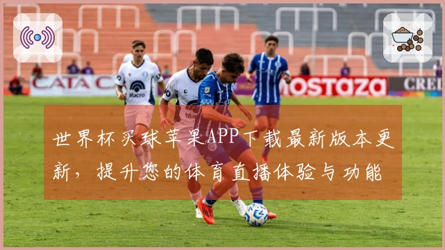 世界杯买球苹果APP下载最新版本更新，提升您的体育直播体验与功能介绍