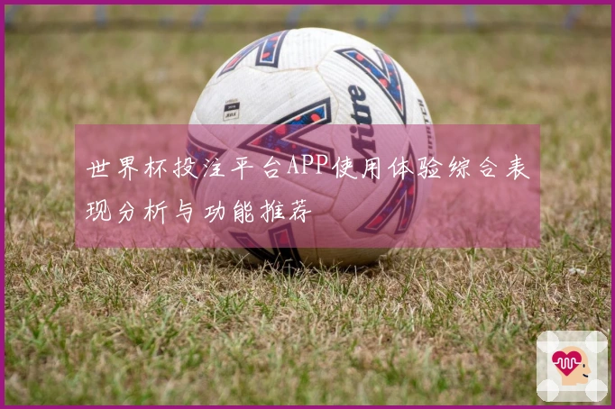 世界杯投注平台APP使用体验综合表现分析与功能推荐