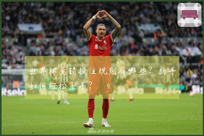 世界杯竞猜投注规则有哪些？新手如何轻松上手？
