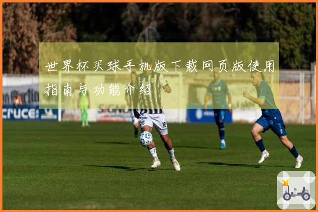 世界杯买球手机版下载网页版使用指南与功能介绍