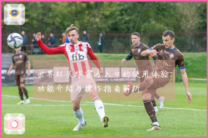 世界杯买球官方入口的使用体验：功能介绍与操作指南解析