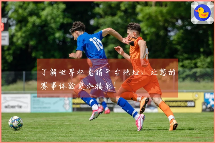 了解世界杯竞猜平台地址，让您的赛事体验更加精彩！