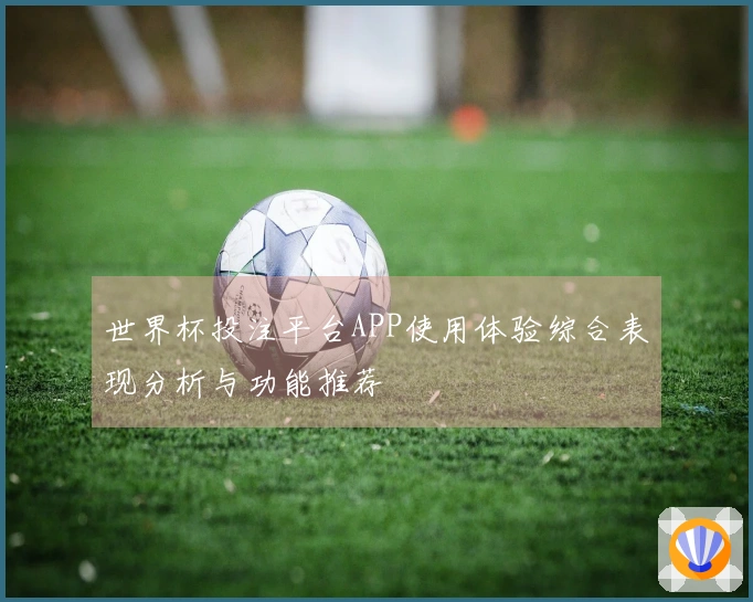 世界杯投注平台APP使用体验综合表现分析与功能推荐